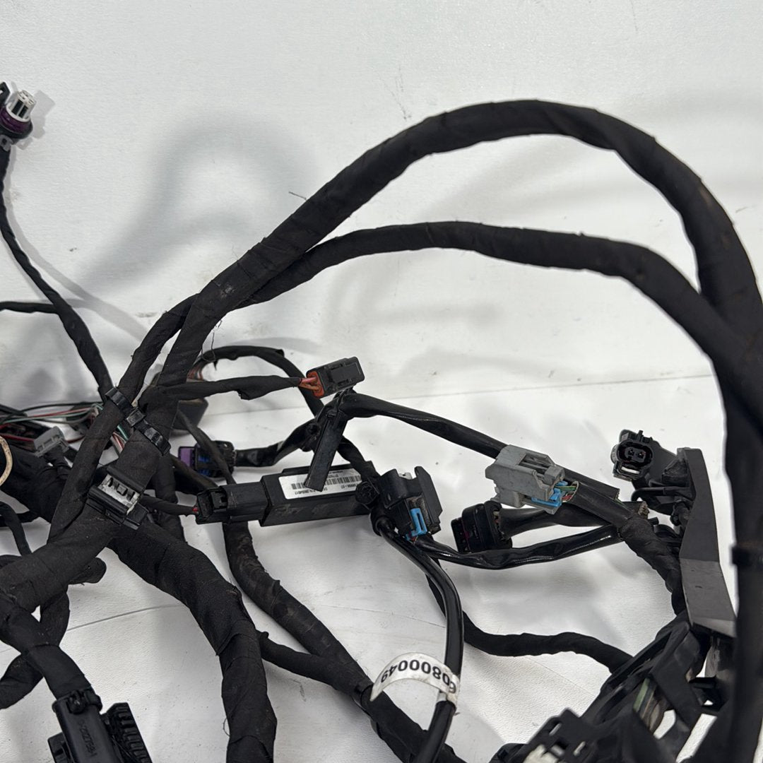 2017 - 2026 Harley-Davidson Softail Heritage Classic 114 Main Wire Wiring Harness Loom ABS 69201492