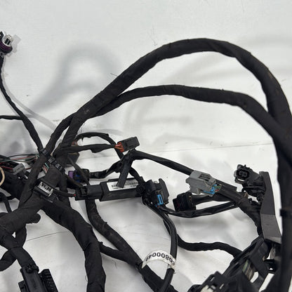 2017 - 2026 Harley-Davidson Softail Heritage Classic 114 Main Wire Wiring Harness Loom ABS 69201492