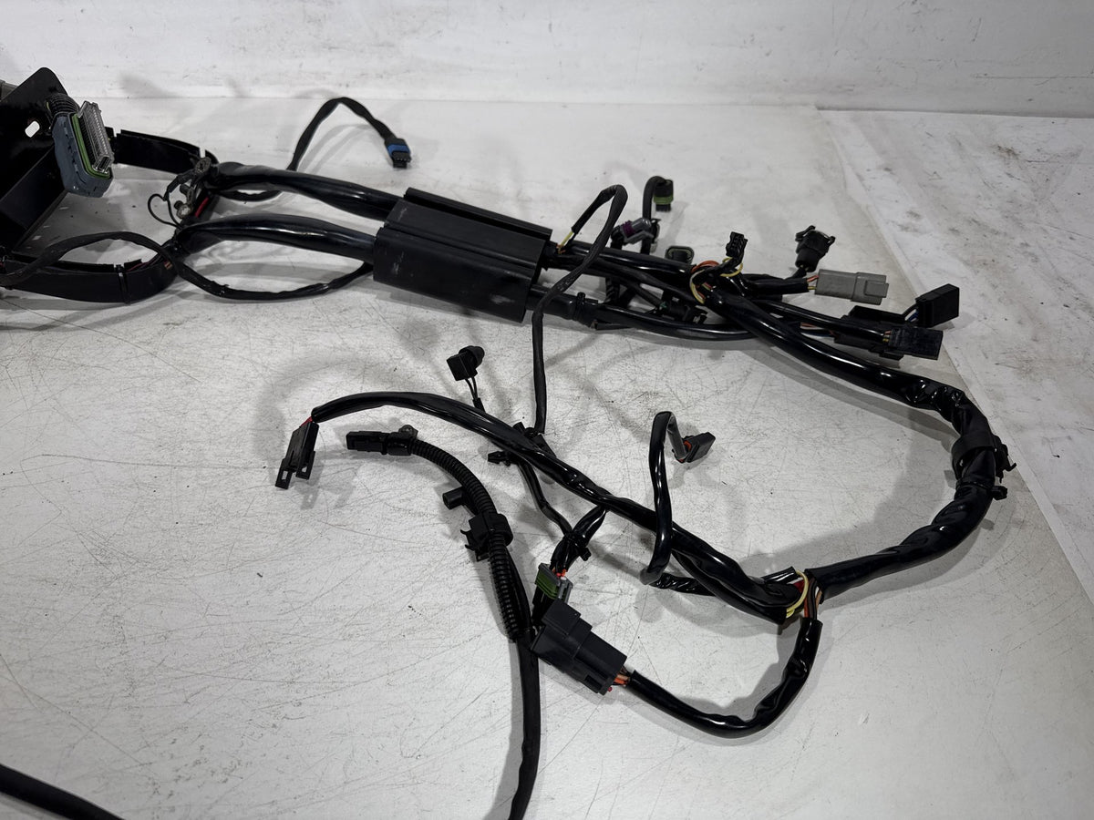 04 Harley Heritage Softail Classic FLSTCI OEM Main Wire Wiring Harness Loom EFI