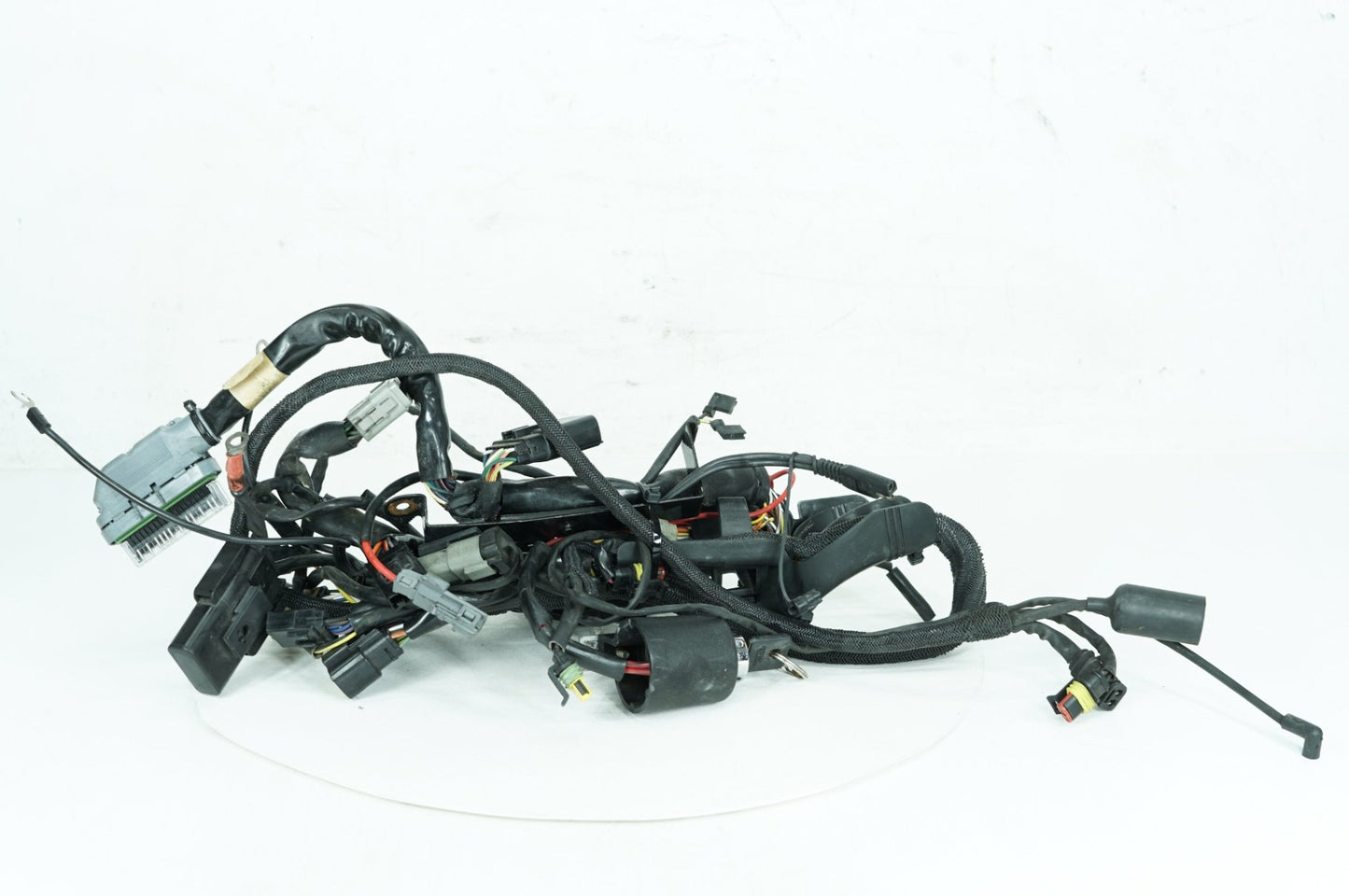 2004 - 2022 Harley-Davidson Sportster 883 Main Wire Wiring Harness Loom 70181-07