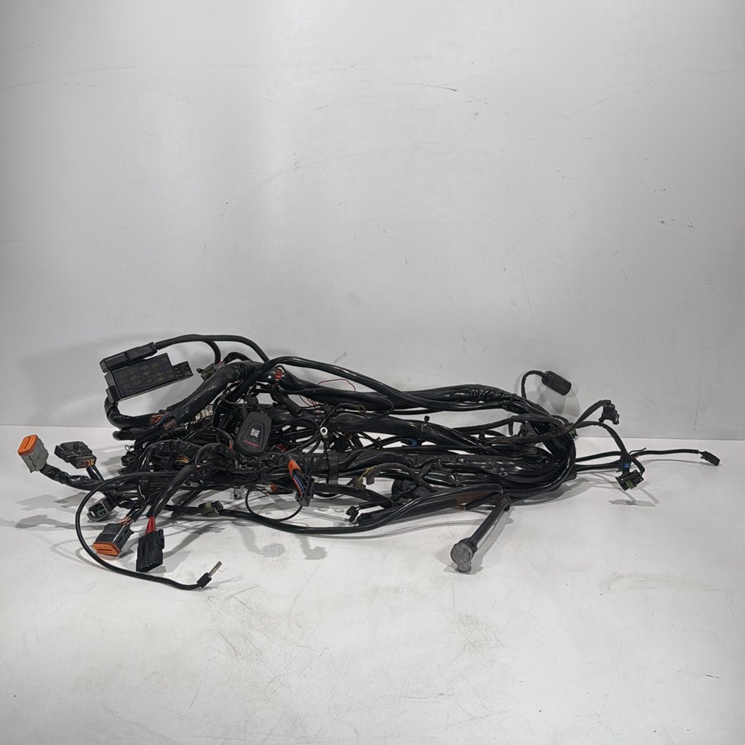 1999 - 2006 Harley-Davidson Touring Electra Glide Ultra Main Wire Wiring Harness Loom 70985-05
