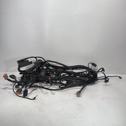 1999 - 2006 Harley-Davidson Touring Electra Glide Ultra Main Wire Wiring Harness Loom 70985-05