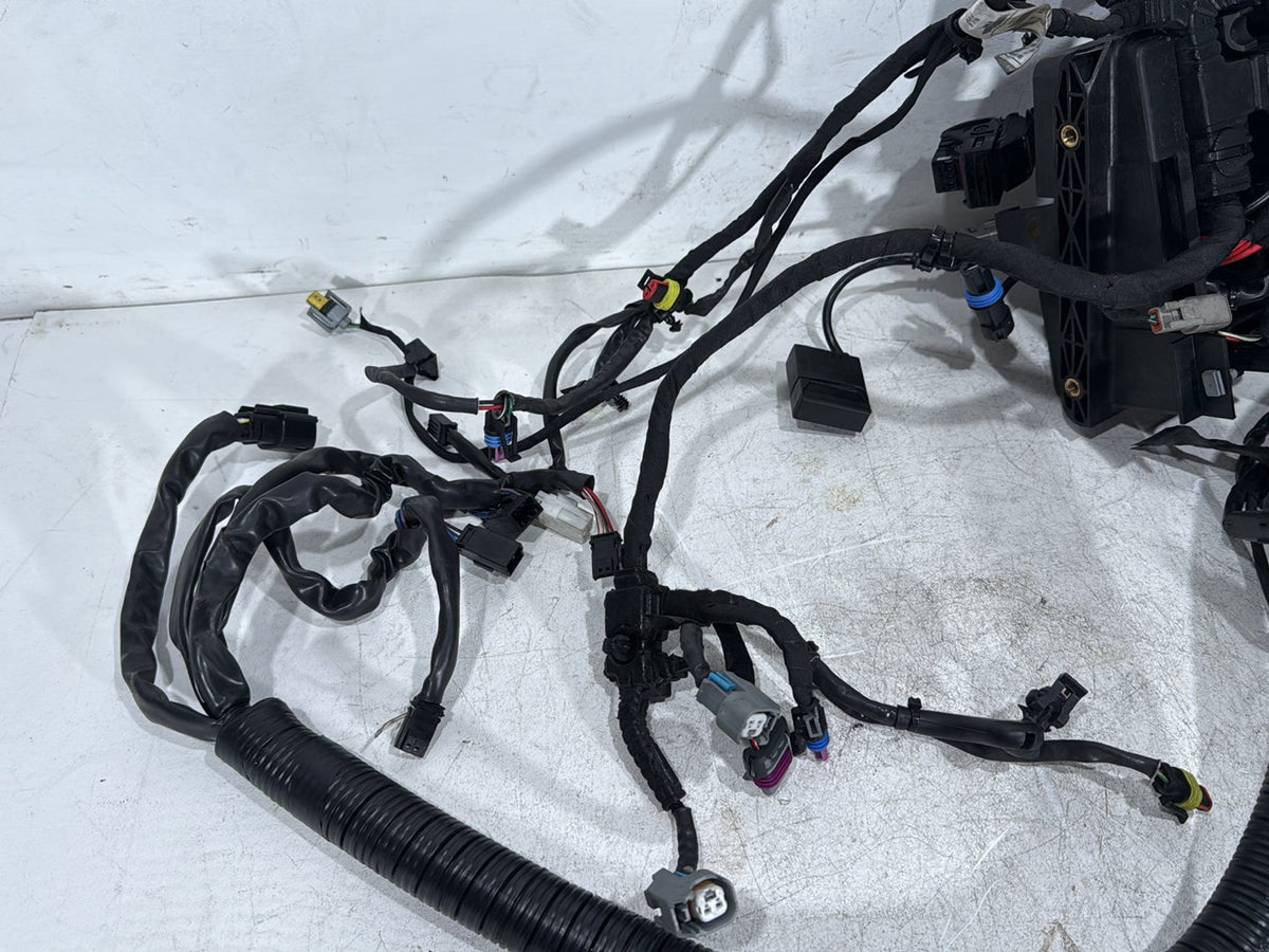 2014 Harley Dyna Low Rider FXDL OEM Main Wire Wiring Harness Loom NON-abs