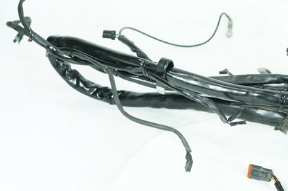 1999 - 2006 Harley-Davidson Touring Electra Glide Main Wire Wiring Harness Loom  	70985-02