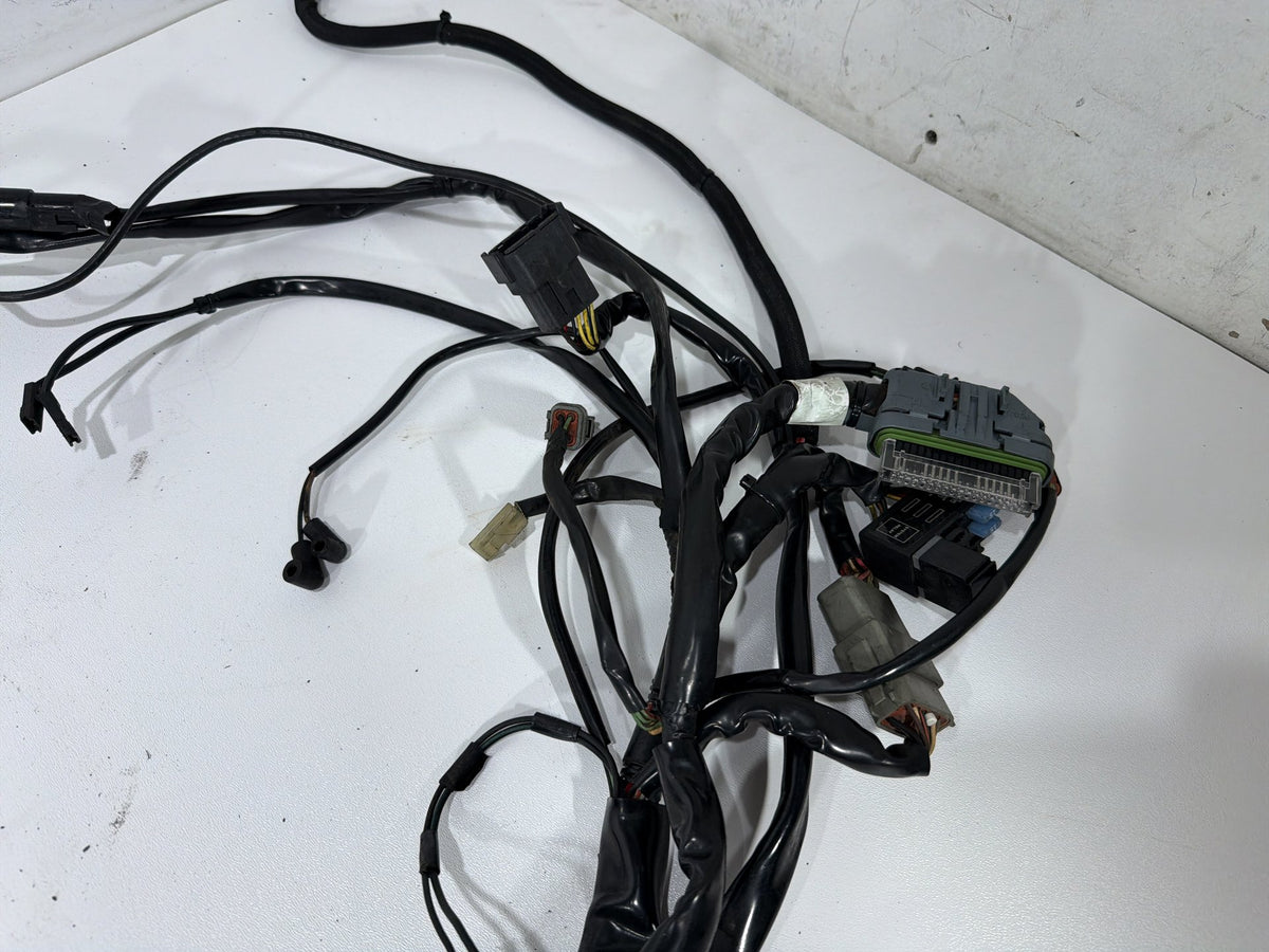 2004 Harley Electra Glide Touring Ultra OEM Main Wire Wiring Harness Loom