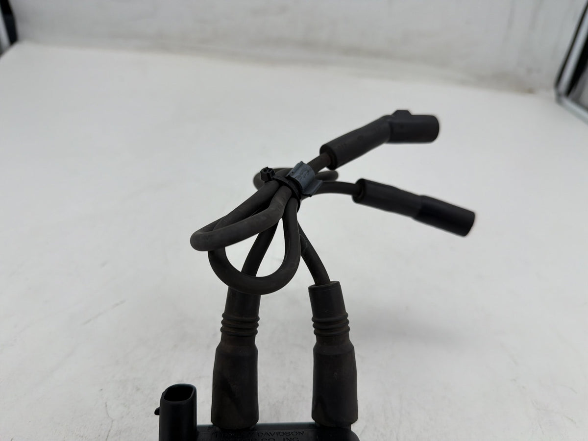 2001 Harley Electra Glide Touring Classic OEM Ignition Coil Spark Plugs Cable