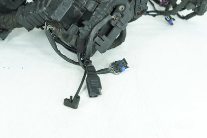 2007 - 2017 Harley-Davidson Dyna Street Bob Main Wire Wiring Harness Loom NON-abs   71072-12A