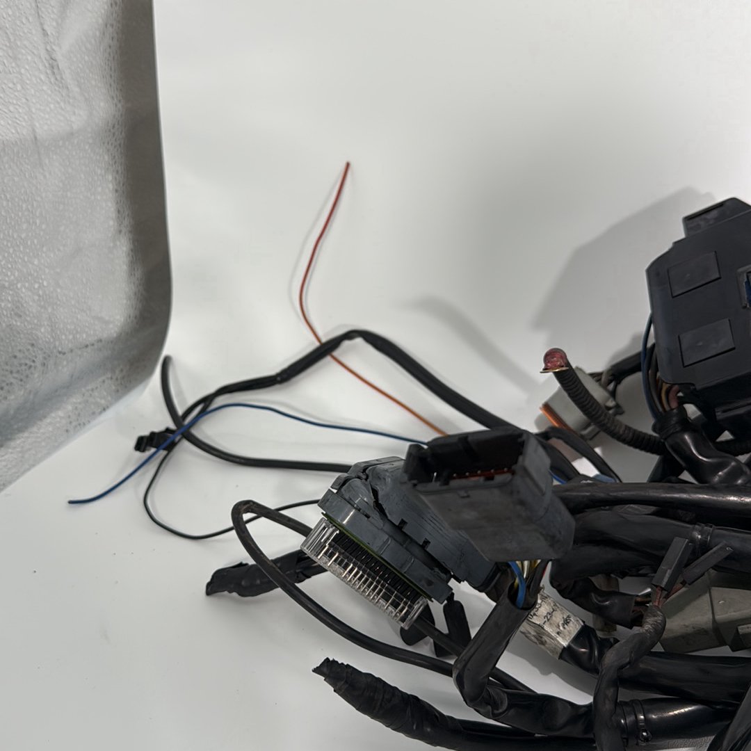 1999 - 2006 Harley-Davidson Touring Electra Glide Classic Main Wire Wiring Harness Loom  	70985-04