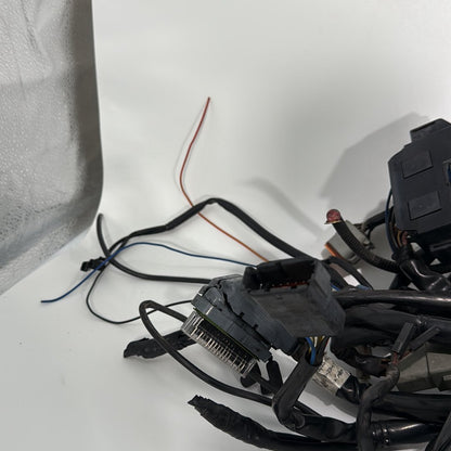 1999 - 2006 Harley-Davidson Touring Electra Glide Classic Main Wire Wiring Harness Loom  	70985-04