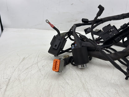 2006 Harley Sportster XL883L Low Main Wire Wiring Harness Ignition Switch NOKey