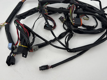 1999 - 2006 Harley-Davidson Dyna Low Rider Main Wire Wiring Harness Loom
