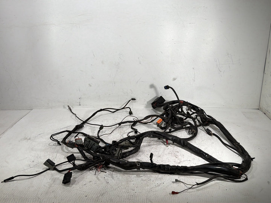 2005 Harley Electra Glide Touring CVO Eagle OEM Main Wire Wiring Harness Loom