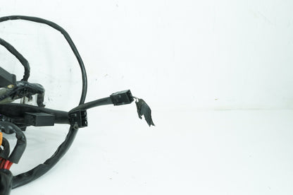 1999 - 2006 Harley-Davidson Dyna Low Rider Main Wire Wiring Harness Loom 69602-04A