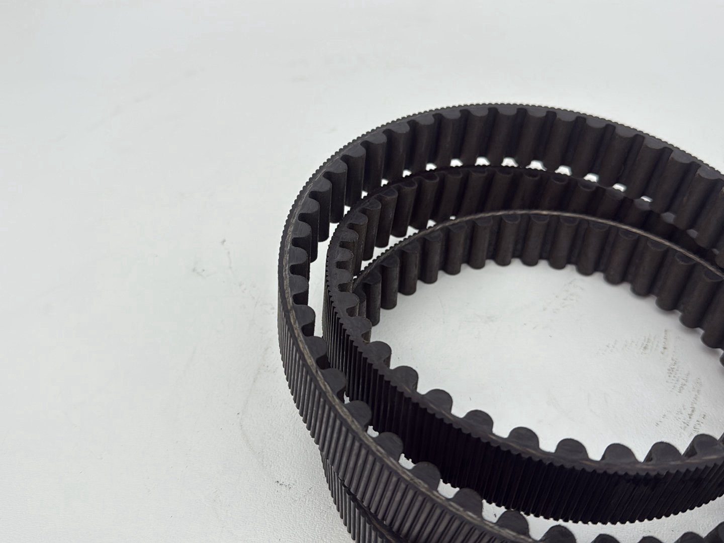 2003 Harley Sportster XL1200C 1200 Custom Anniversary OEM Rear Drive Belt