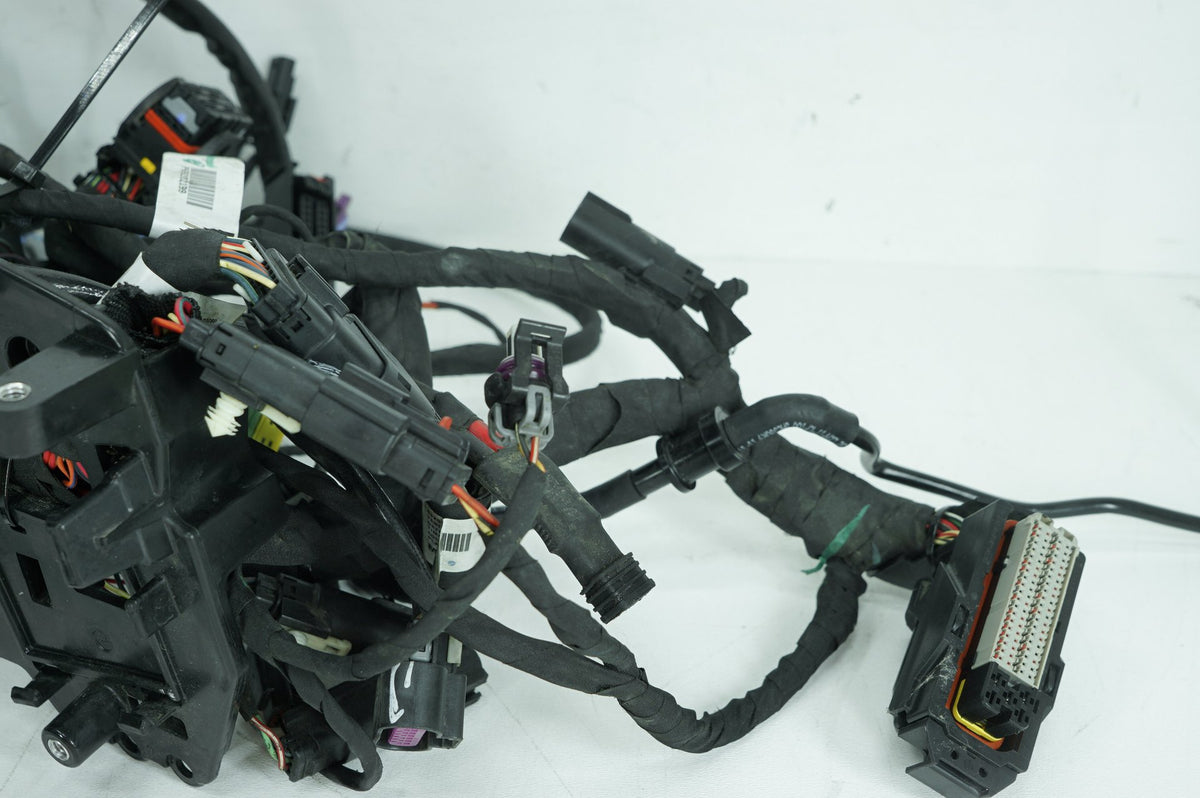 Main Wire Wiring Harness Loom, 69202197, 2024, Harley-Davidson, Softail, Standard, FXST