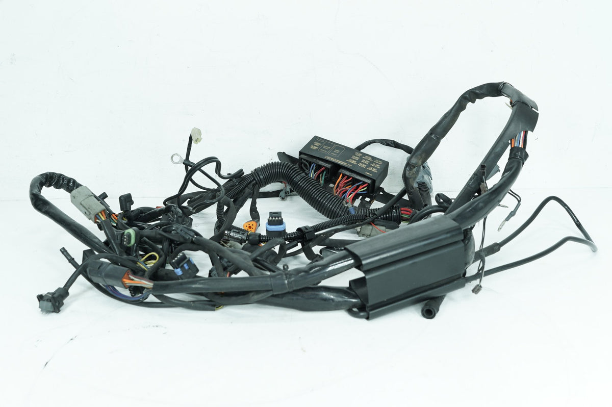 04 Harley Softail FLSTC Heritage OEM EFI Main Wire Wiring Harness Loom 70216-04A