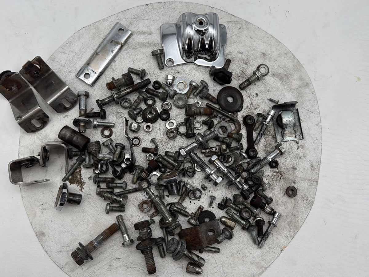 2005 Harley Electra Glide Touring CVO Eagle OEM Hardware Bolts Nuts & Brackets