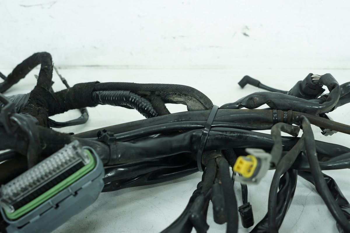 2008 Harley Dyna FXDWG 105th Wide Glide OEM Main Wire Wiring Harness Loom