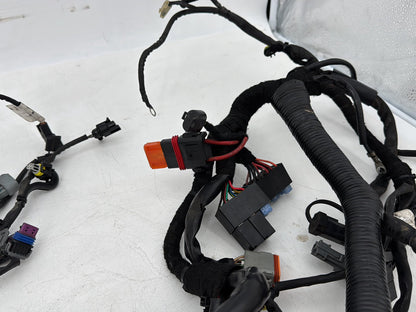 2006 - 2017 Harley-Davidson Dyna Street Bob Main Wire Wiring Harness Loom 69602-06
