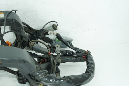 2007 - 2012 Harley-Davidson Touring Electra Glide Main Wire Wiring Harness Loom 70985-07