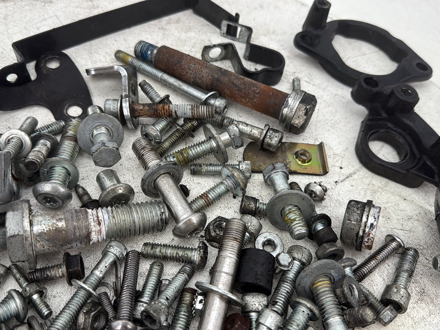 2006 Harley Sportster XL883L 883 Low OEM Hardware Bolts Nuts & Brackets