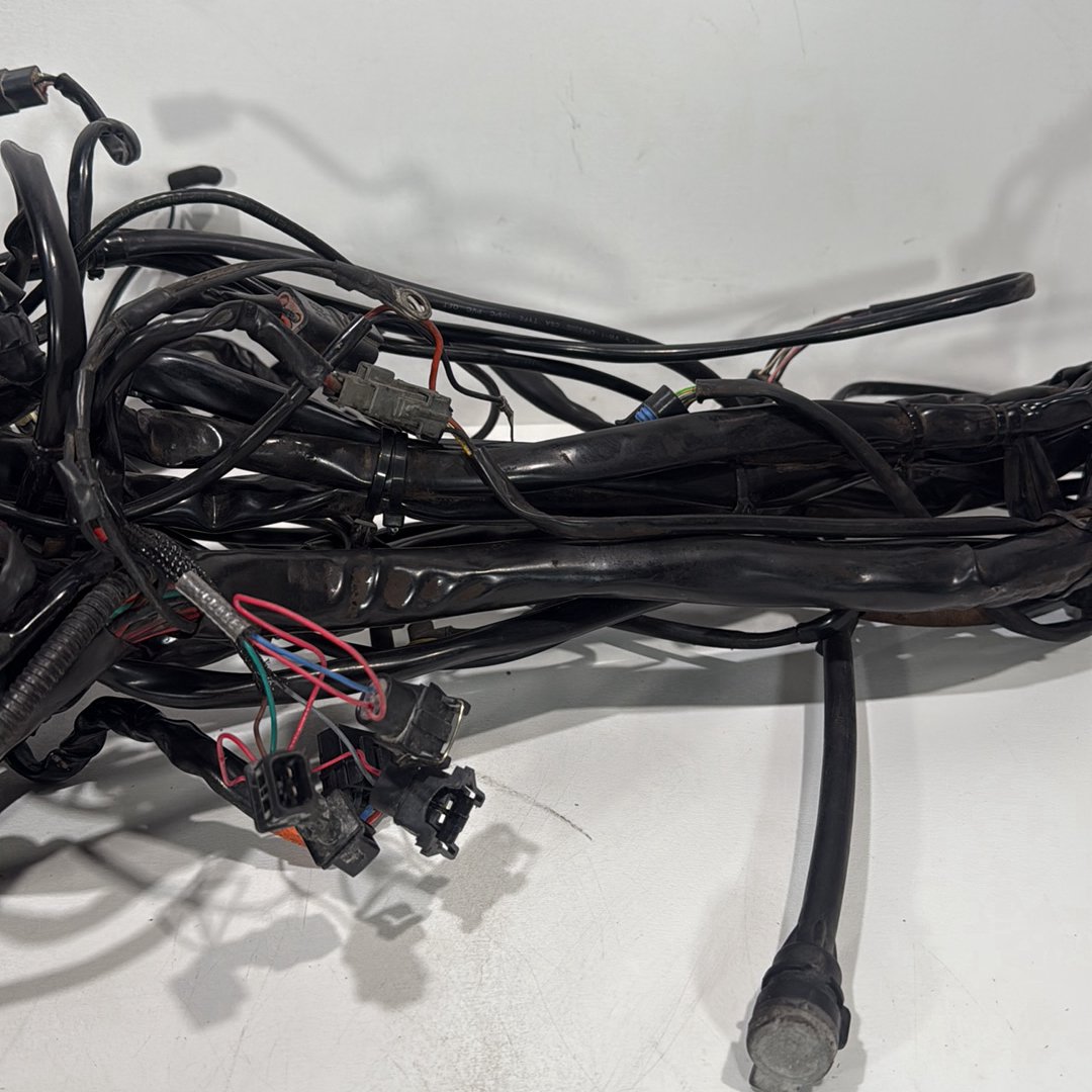 1999 - 2006 Harley-Davidson Touring Electra Glide Ultra Main Wire Wiring Harness Loom 70985-05