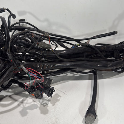1999 - 2006 Harley-Davidson Touring Electra Glide Ultra Main Wire Wiring Harness Loom 70985-05