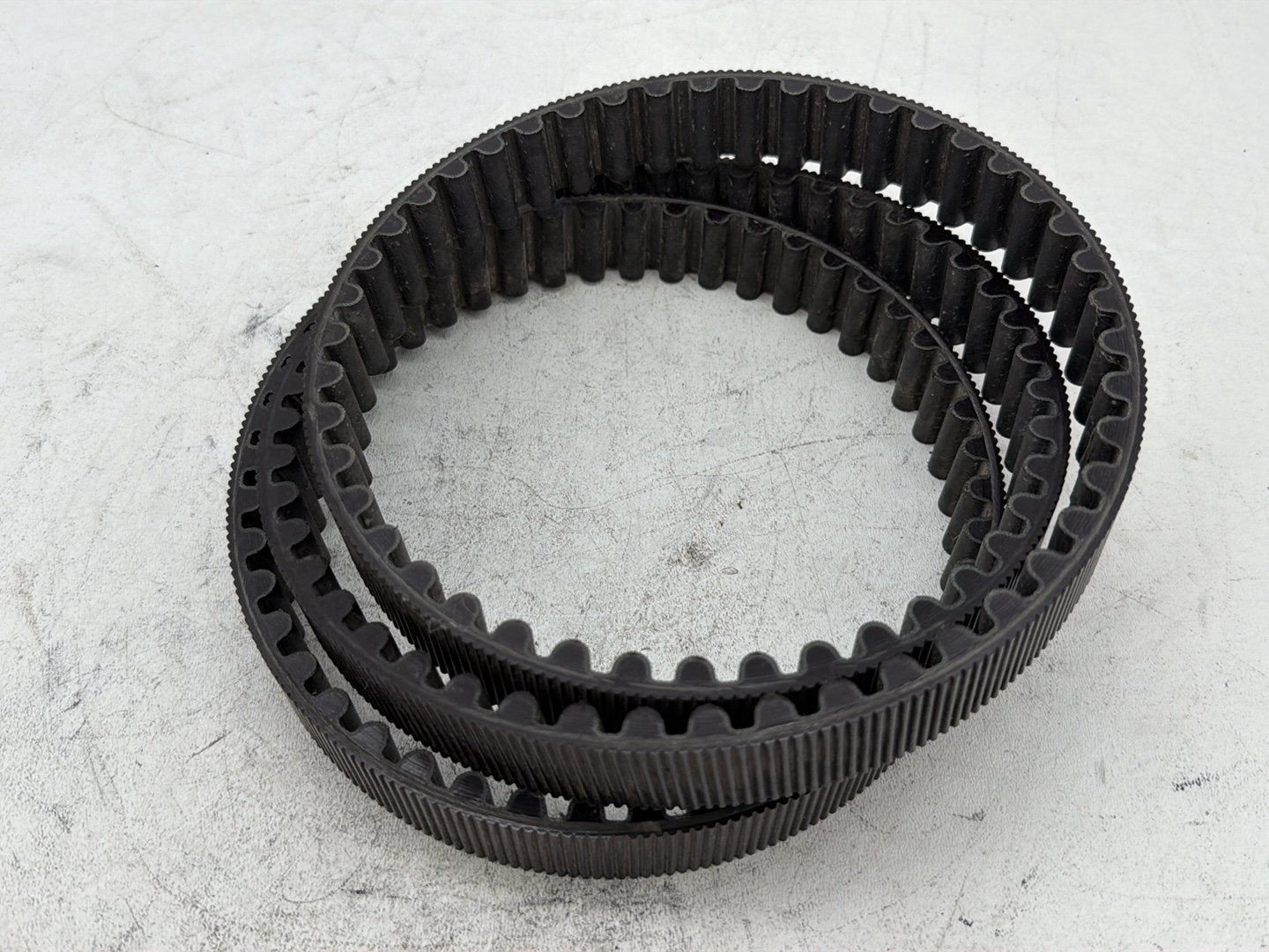 2006 Harley Sportster 1200 Custom XL1200C OEM Rear Drive Belt
