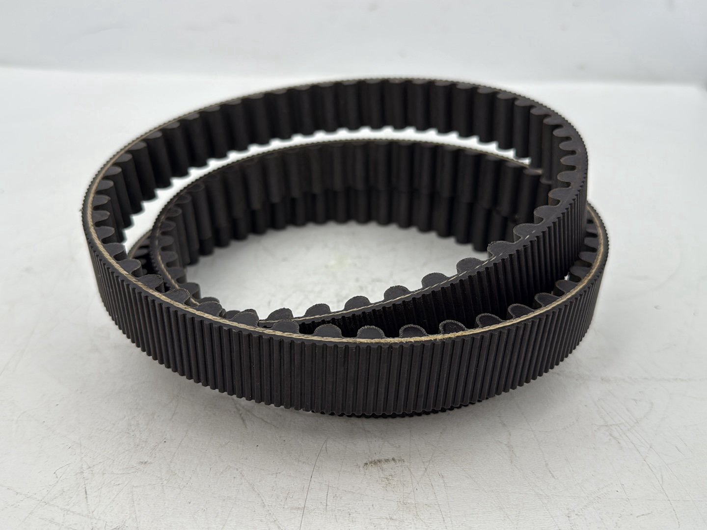 2006 Harley Sportster XL883C 883 Custom OEM Rear Drive Belt