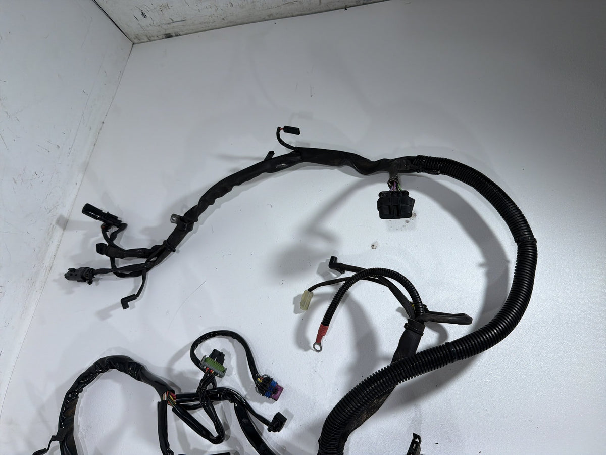 2008 Harley Softail Custom FXSTC OEM Main Wire Wiring Harness Loom