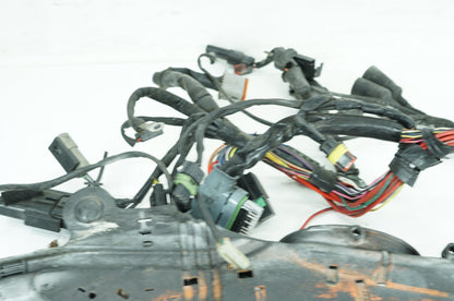 Harley-Davidson Misc  Main Wire Wiring Harness Loom