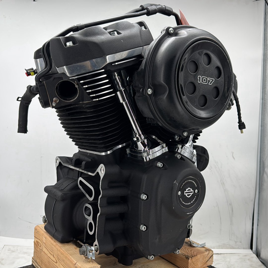 2019 Harley Softail Street Bob FXBB OEM EFI Milwaukee M8 107 Engine Motor