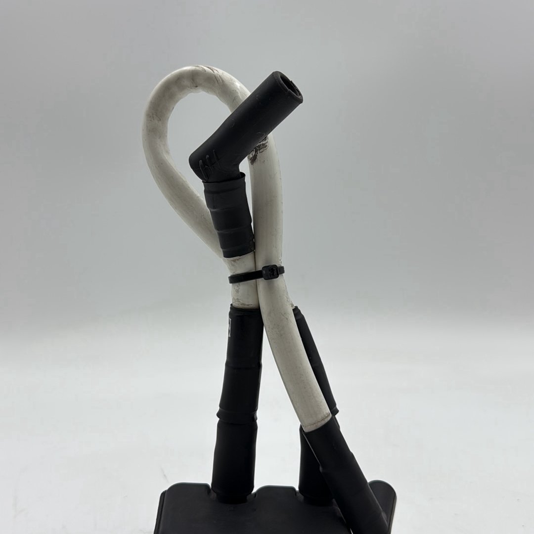1999 - 2006 Harley-Davidson Dyna Low Rider Ignition Coil Spark Plugs Cable 31655-99