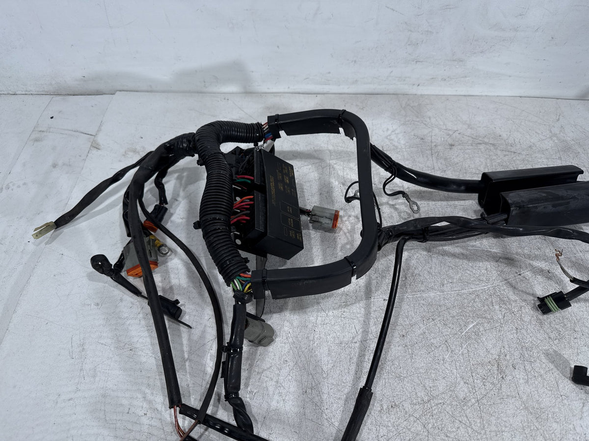 2001 Harley Fat Boy Softail FLSTF OEM Main Wire Wiring Harness Loom CARB