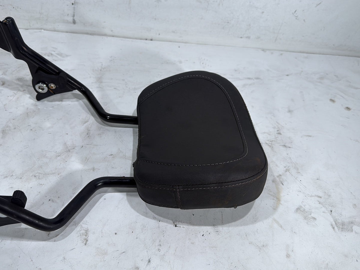 2022 Harley Road King Touring FLHR OEM Rear Sissy Bar w/ Backrest Cushion Pad