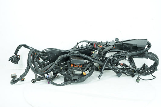 2008 - 2016 Harley-Davidson Touring Electra Glide Ultra Main Wire Wiring Harness Loom ABS 69200304