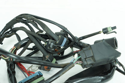 1999 - 2006 Harley-Davidson Touring Electra Glide Ultra Main Wire Wiring Harness Loom 70985-00