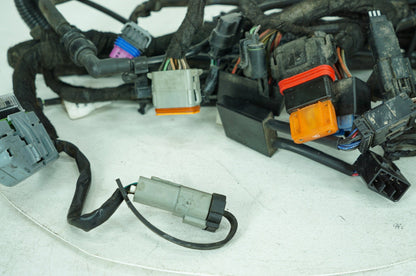 2007 - 2017 Harley-Davidson Dyna Low Rider Main Wire Wiring Harness Loom 69602-08