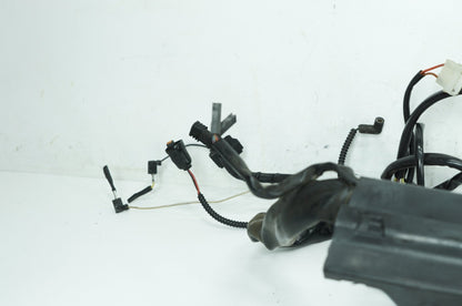 1999 - 2006 Harley-Davidson Touring Road King Main Wire Wiring Harness Loom 70245-06