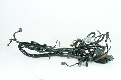 1999 - 2006 Harley-Davidson Touring Electra Glide Main Wire Wiring Harness Loom  	70985-02