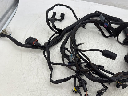 2007 Harley Dyna Street Bob FXDBI OEM Main Wire Wiring Harness Loom