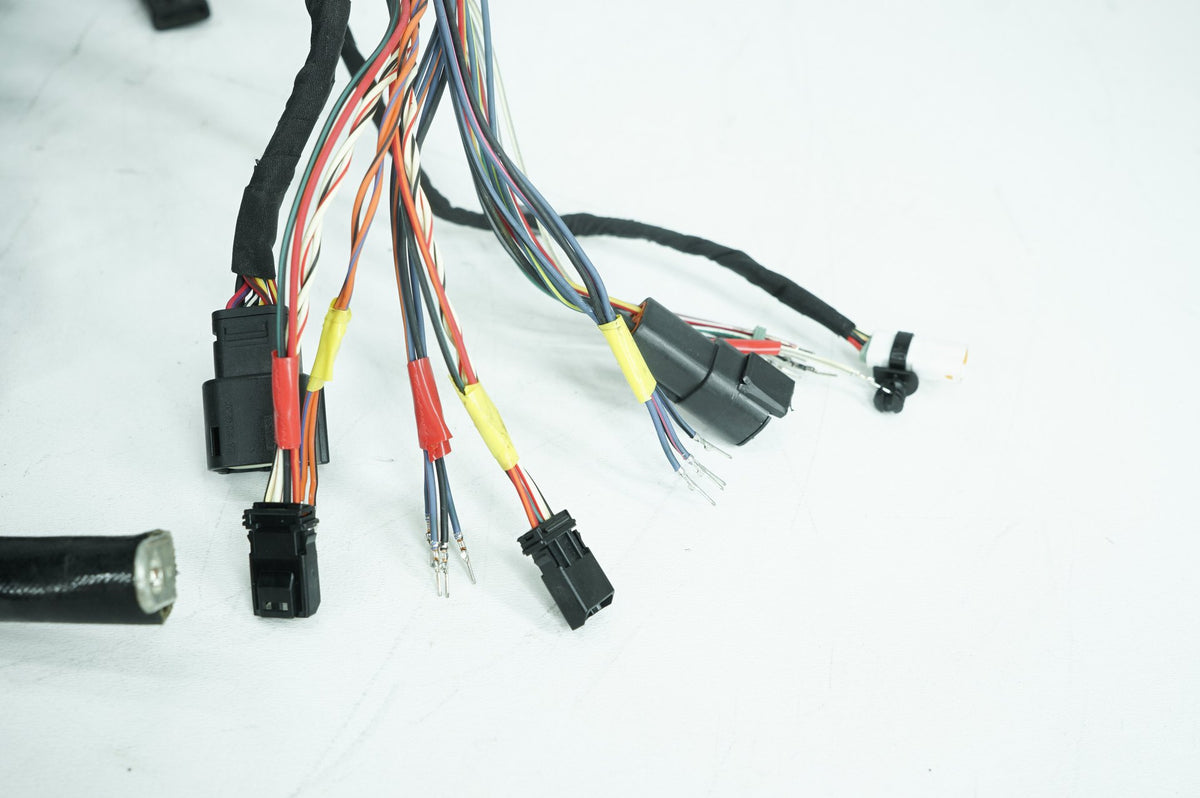 Main Wire Wiring Harness Loom, 69202197, 2024, Harley-Davidson, Softail, Standard, FXST