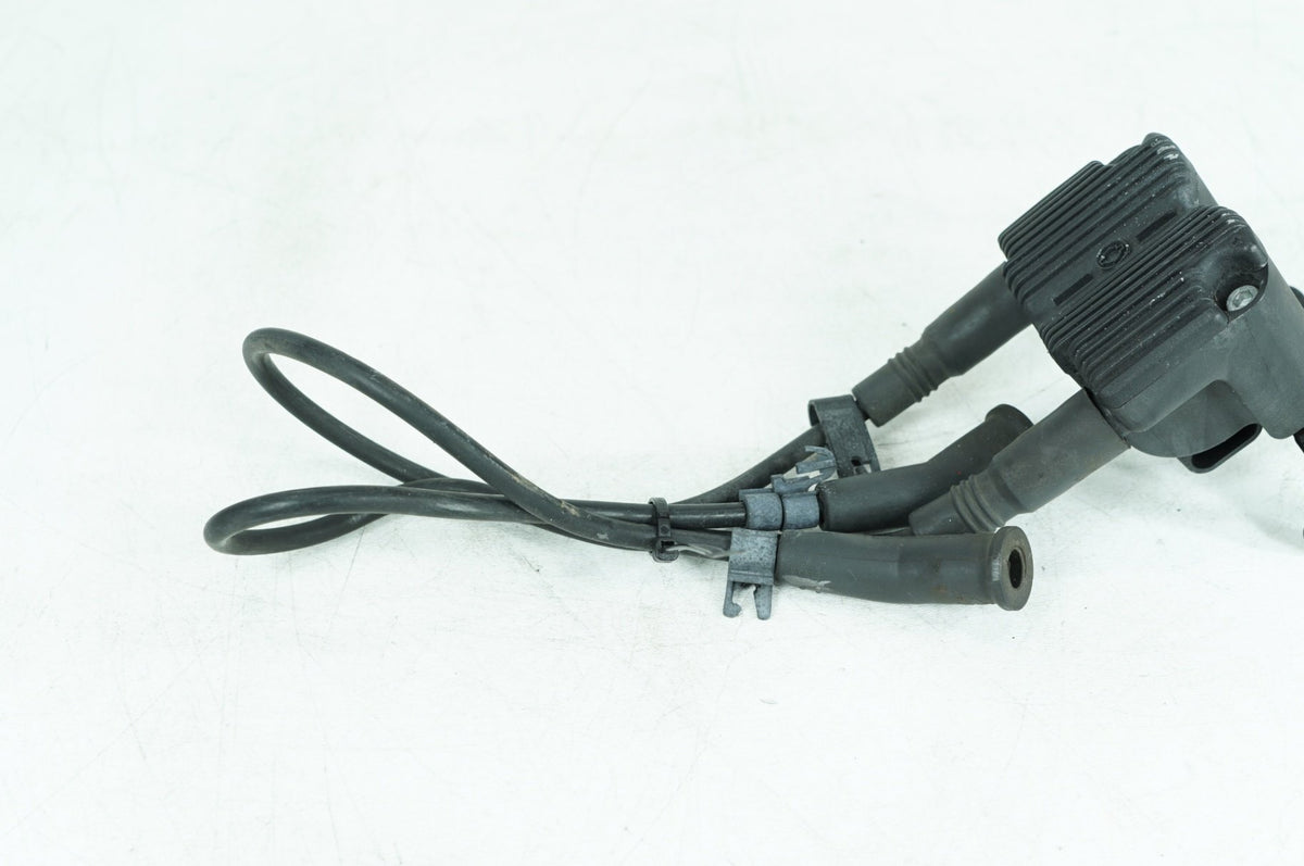 1999 - 2006 Harley-Davidson Touring Electra Glide Classic Ignition Coil Spark Plugs Cable 31743-01