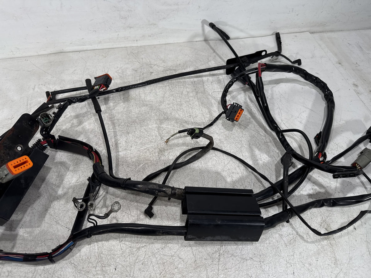 2001 Harley Fat Boy Softail FLSTF OEM Main Wire Wiring Harness Loom CARB