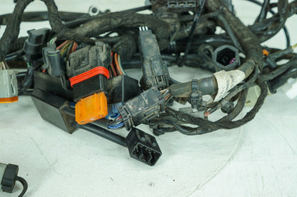2007 - 2017 Harley-Davidson Dyna Low Rider Main Wire Wiring Harness Loom 69602-08
